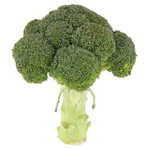 Jumbo Broccoli Biologisch