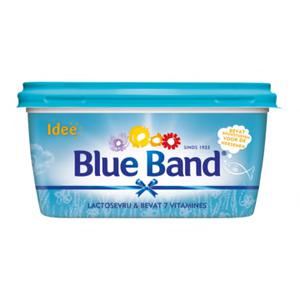 Blue Band Idee! Halvarine Lactosevrij met DHA en 7 Vitamines Kuip 500g