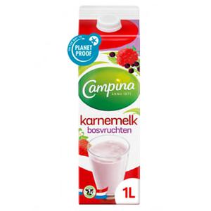 Campina karnemelk bosvrucht 1L