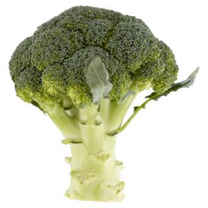 Jumbo Broccoli 500g