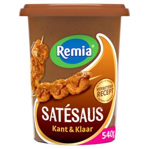 Remia Satésaus kant en klaar 540g