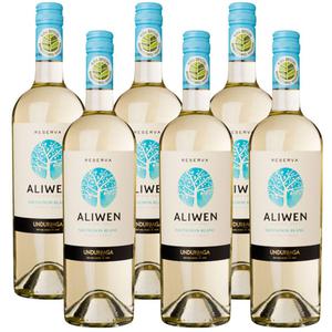 Aliwen Sauvignon blanc reserva