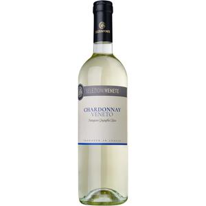 Selezioni Venete Chardonnay doos