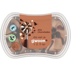 g'woon mini duo chocolades ijs