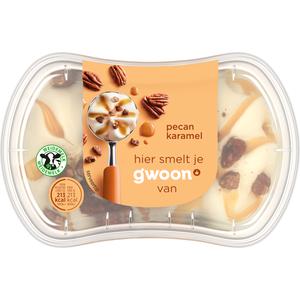 g'woon mini pecan karamel ijs