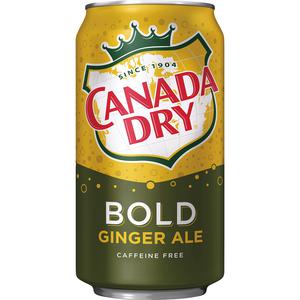 Canada Dry Bold Ginger Ale 355ml