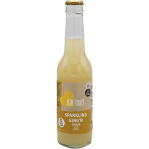 BioToday Sparkling ginger original