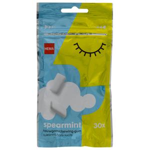 Hema suikervrije kauwgom spearmint - 30 stuks