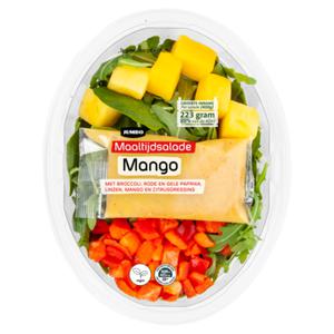 Jumbo Maaltijdsalade Mango 400g