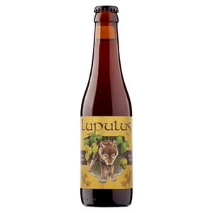 Lupulus - Bruin Bier - Fles - 330ML