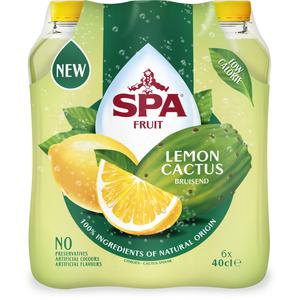 Spa Fruit lemon cactus tray