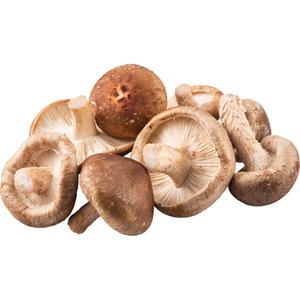 Amazing Oriental Verse Shiitake Mushroom