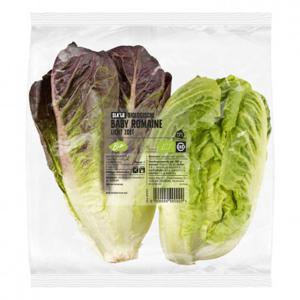 AH Biologisch Sla'tje - Biologische Baby Romaine