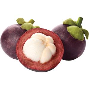 Amazing Oriental Mangosteen