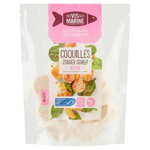 Vis Marine Coquilles None None