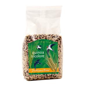 De Nieuwe Band Quinoa tricolore