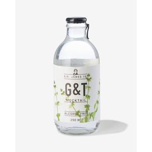 Hema alcoholvrije G&T 250ml