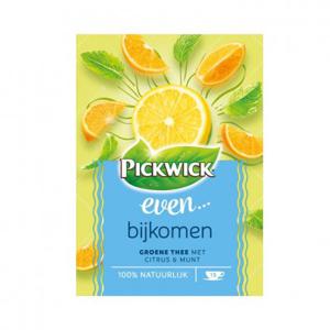 Pickwick Even bijkomen groene thee