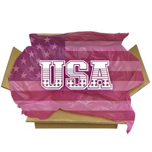 Snackje USA Mystery Box V1