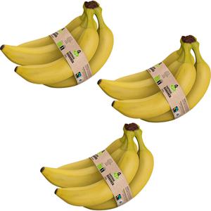 AH Biologisch Fairtrade bananen 3-pack