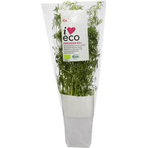 ICA I love eco Dill i kruka Ekologisk 1-p KRAV Klass 1