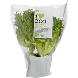 ICA I love eco Krispsallat Ekologisk KRAV Klass 1
