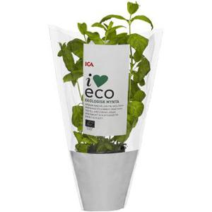 ICA I love eco Mynta Ekologisk 1-p KRAV