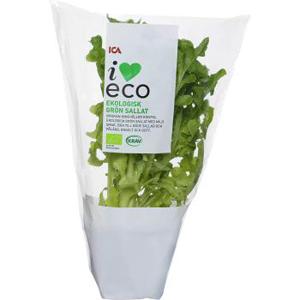 ICA I love eco Grön kruksallat Ekologisk 1-p KRAV Klass 1