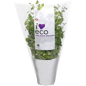 ICA I love eco Oregano Ekologisk 1-p KRAV