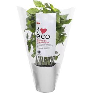 ICA I love eco Thaibasilika Ekologisk 1-p KRAV Klass 1