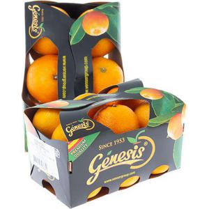 Frukt & Grönt Clementin papp ask 900g Klass1