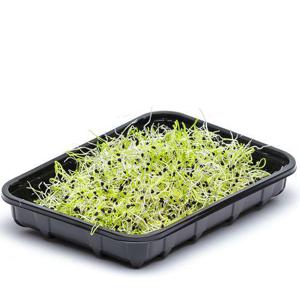 Frukt & Grönt Purjolöksgroddar 50g EKO/KRAV Klass1