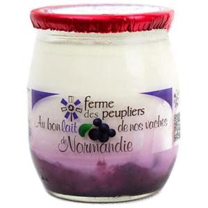 Ferme des Peupliers Yoghurt Blåbär 2,5% 125g