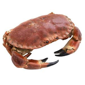 SeaSam Krabba ca 700g