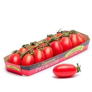 Frukt & Grönt Babyplommontomat extra Söt EKO "Lobello" 200g Klass1