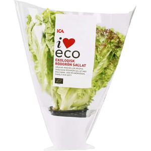 ICA I love eco Rödgrön kruksallat Ekologisk 1-p KRAV Klass 1