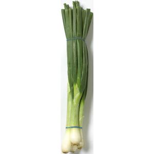 Klass 1. Italien Salladslök