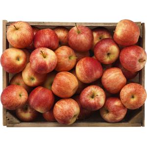 Klass 1. Italien Äpple Royal Gala