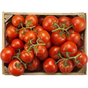 Klass 1. Italien Tomat Kvist