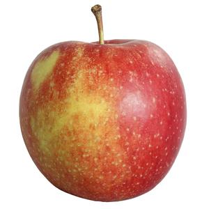 Klass 1. Italien Äpple Envy