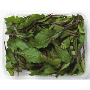 Kl 1. Italien Mangold Sallad