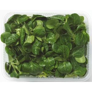 Kl 1. Frankrike Sallad Mache