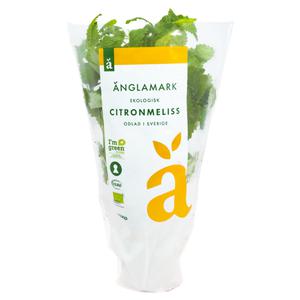 Klass 1. Sverige Citronmeliss
