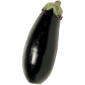 Kl 1. Holland Aubergine