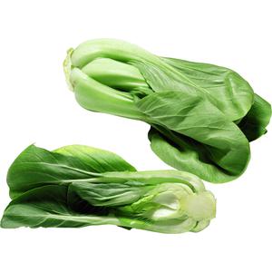 Kl 1. Holland Pak Choi