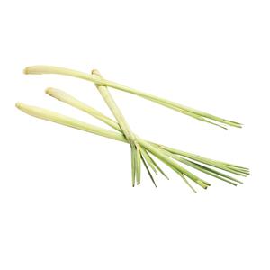 Kl 1. Thailand Citrongräs