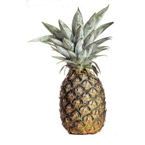 Kl 1. Costa Rica Ananas
