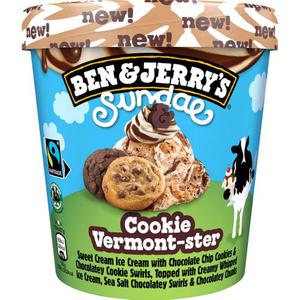 Ben & Jerrys Sundae Glass Cookie Vermont-ster Fairtrade 427ml Ben & Jerry's