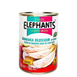 Twin Elephants Bananblomma Vegansk fisk 540g