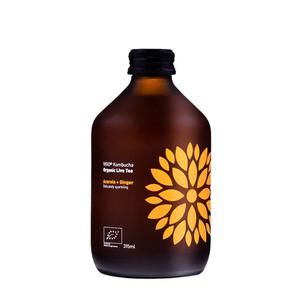 Vigo Kombucha Acerola (Barbadoskörsbär & Ingefära)